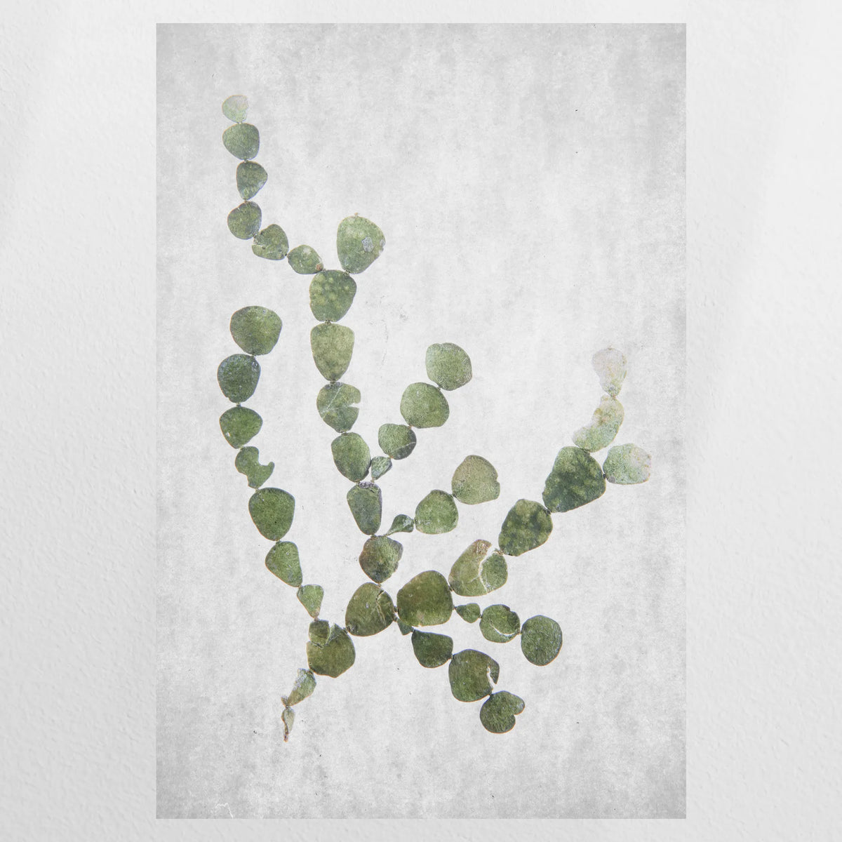 PO-060W090