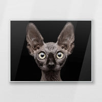 PS-080W060