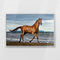 PS-100W070