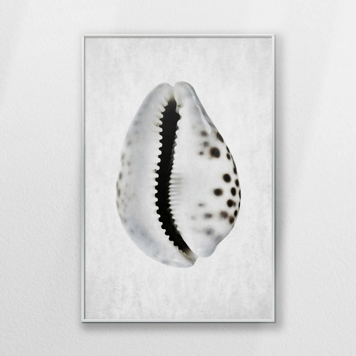 PS-062W093