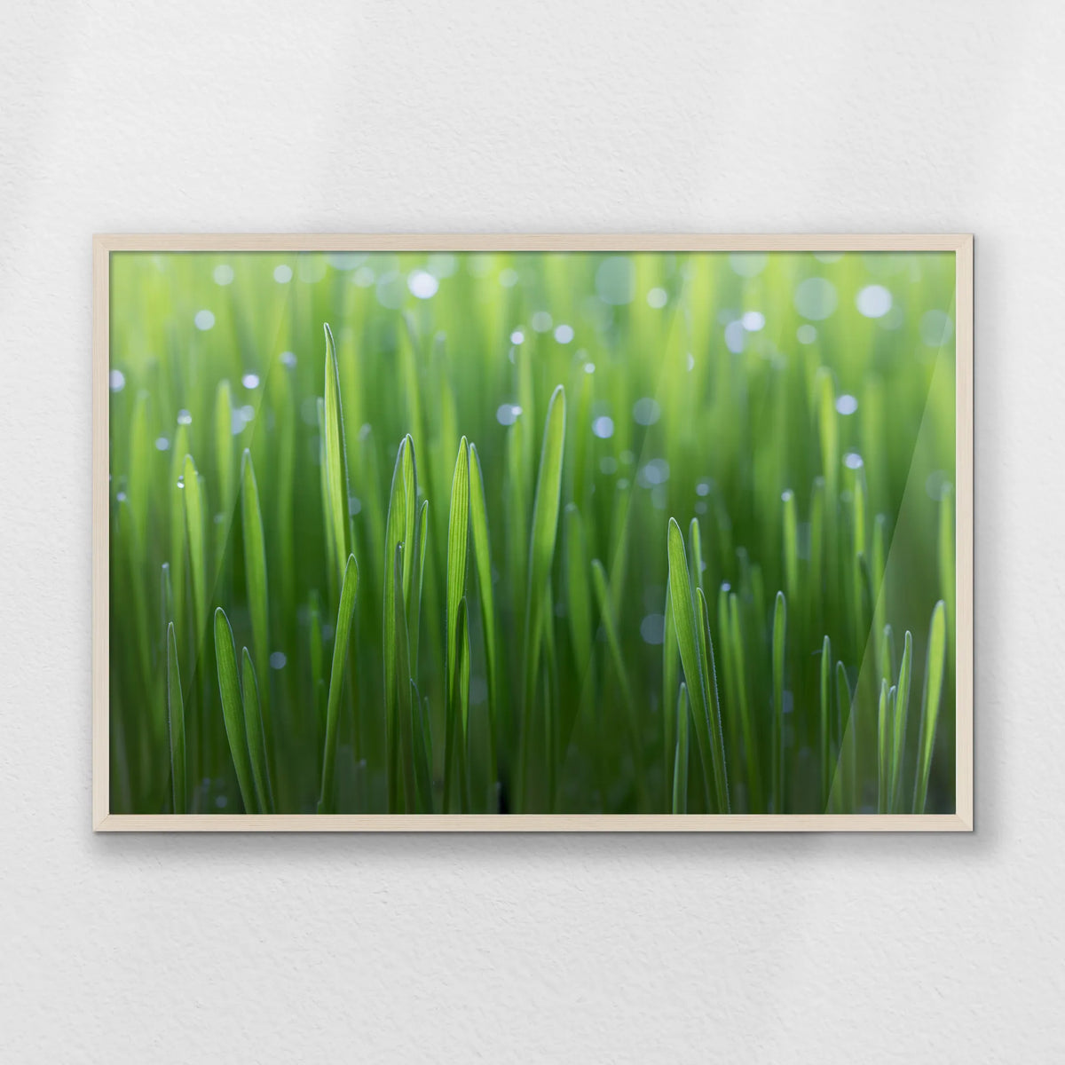 PN-093W062
