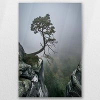 AL-050W075
