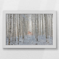 LWW030W020