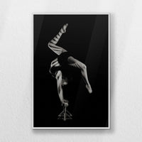LWW080W120