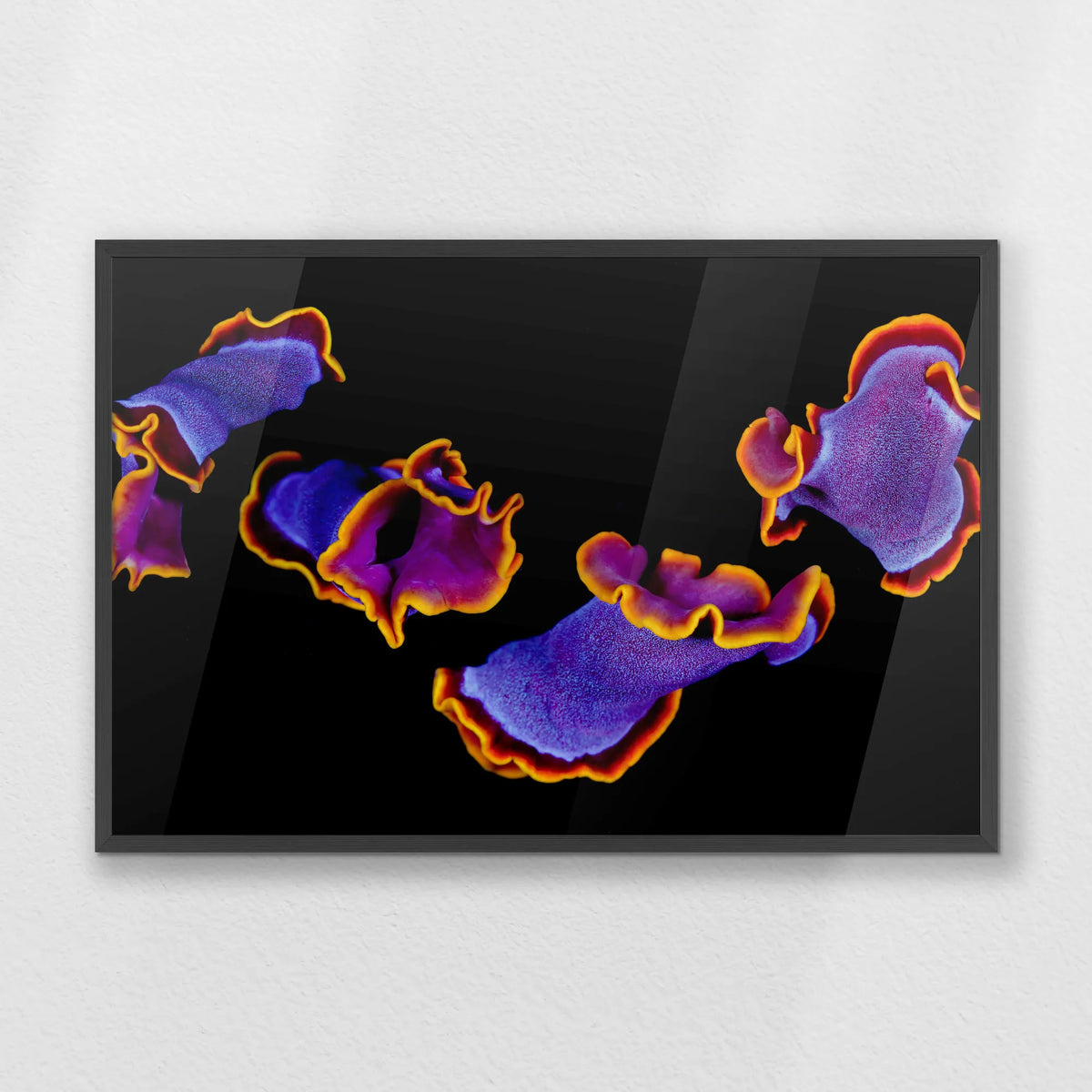 PK-093W062