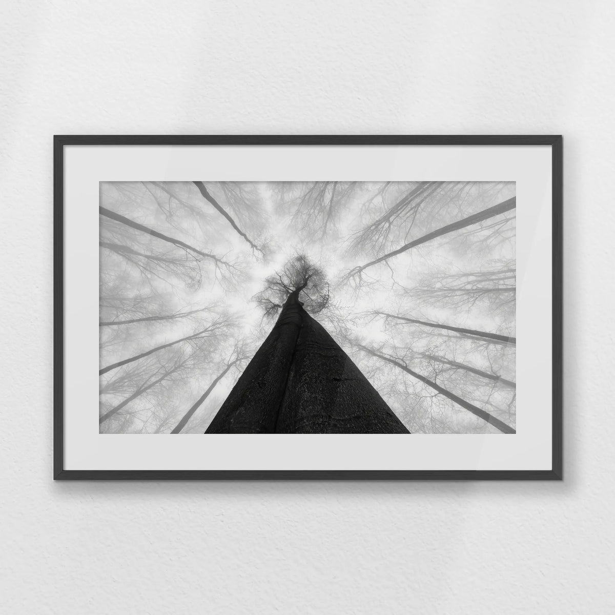 PKP093W062