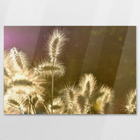 AC-120W080