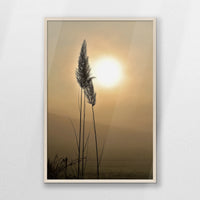 PN-062W093
