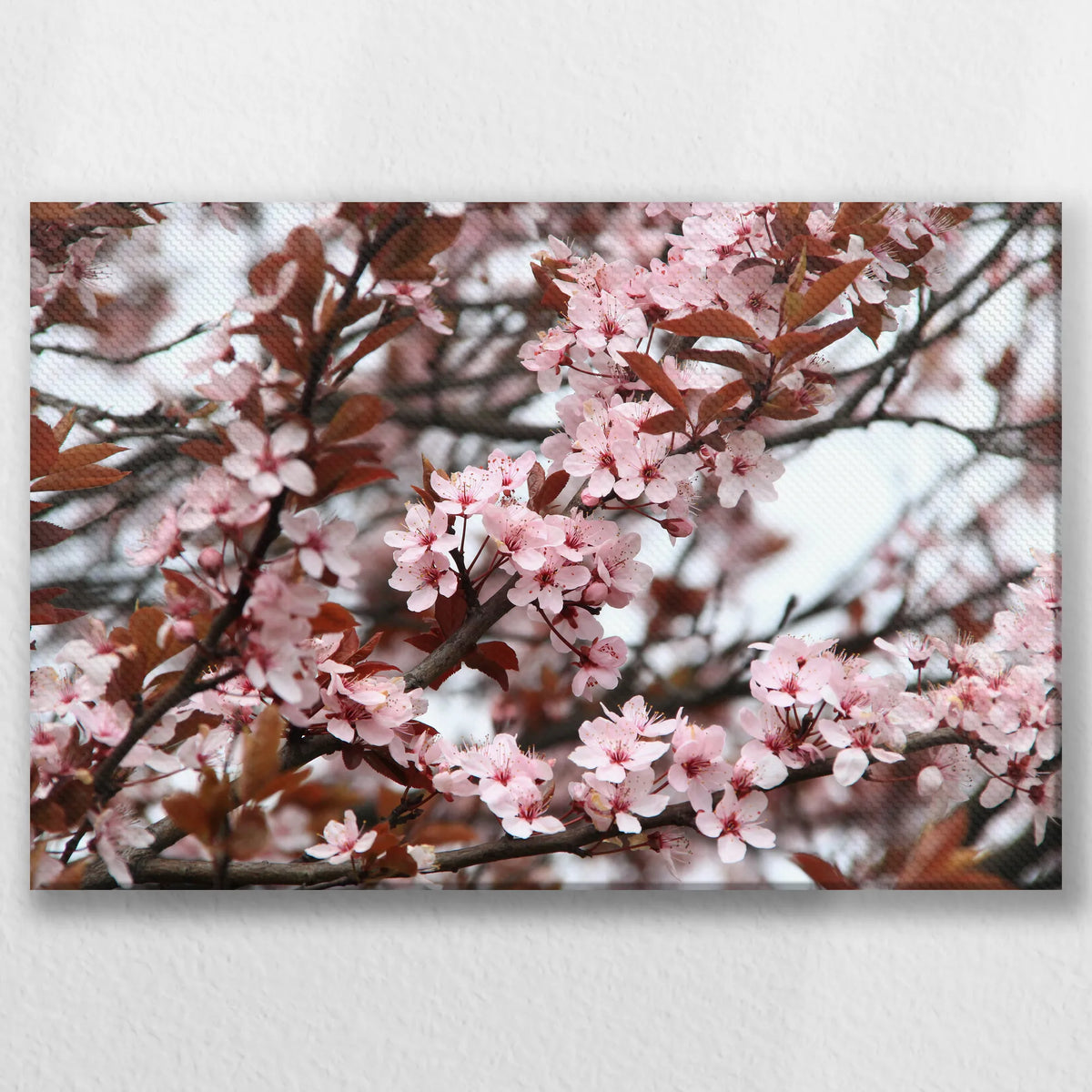 LW-045W030