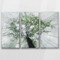 LW-090R060