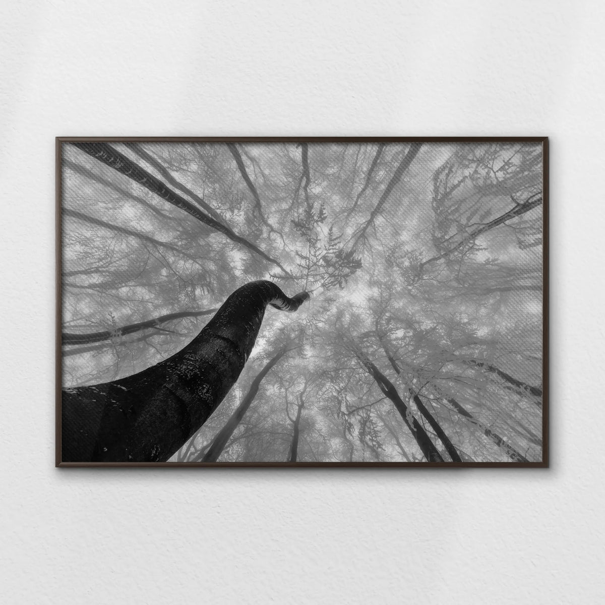 LWN120W080
