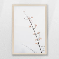 PN-040W060