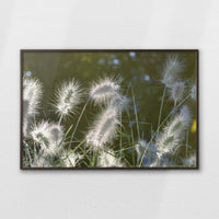 LWN120W080