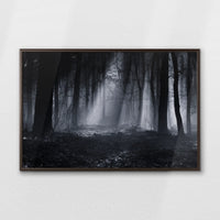 LWN100W070