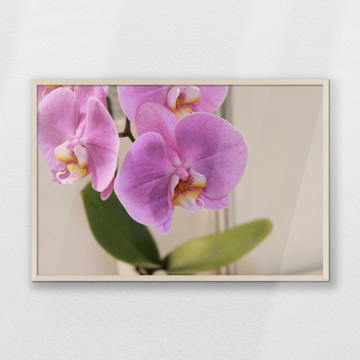 PN-093W062