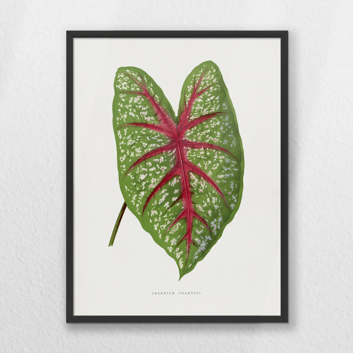 PB-030W040