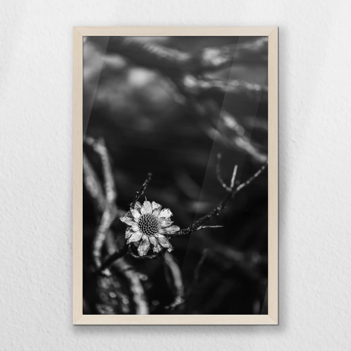 PN-040W060