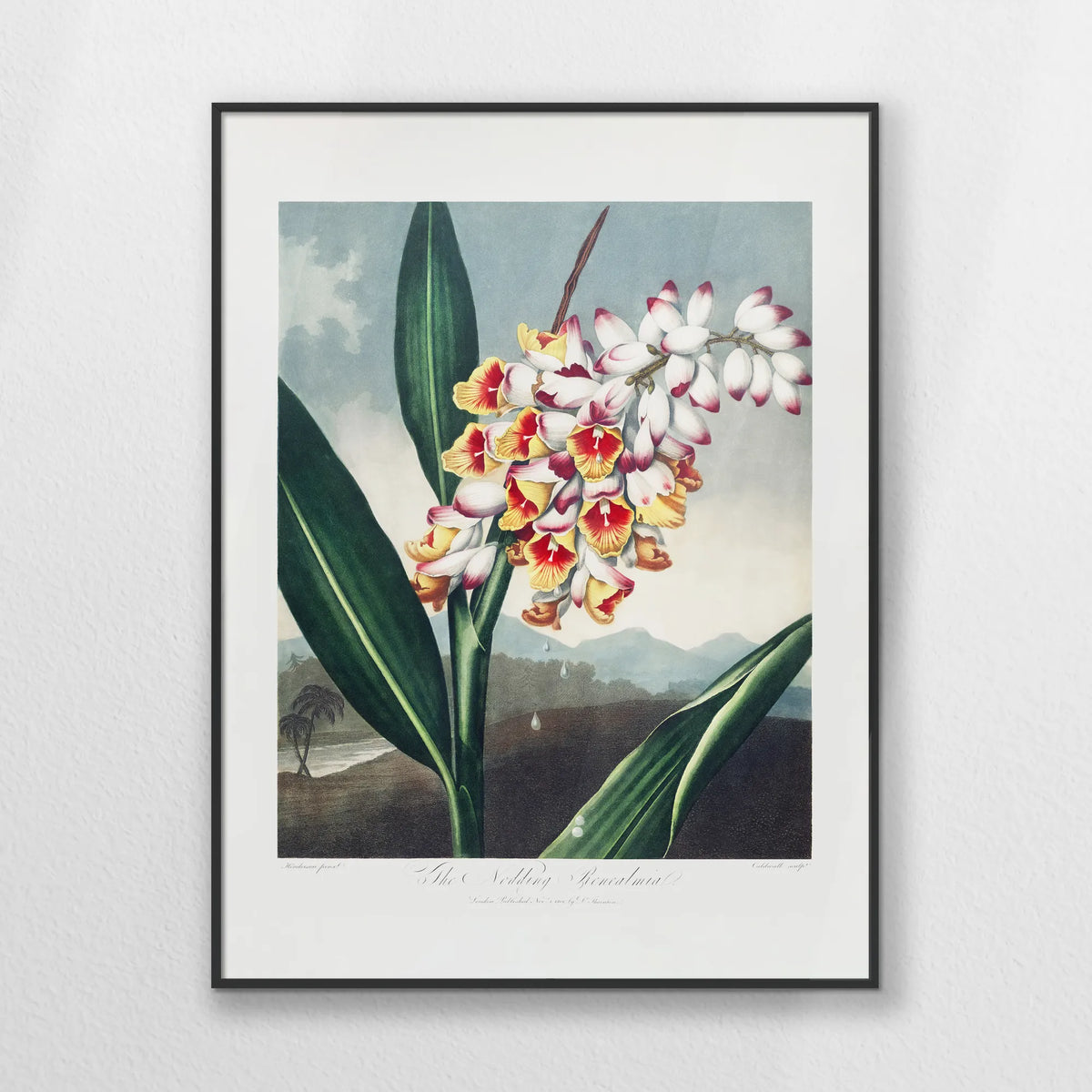 PB-060W080