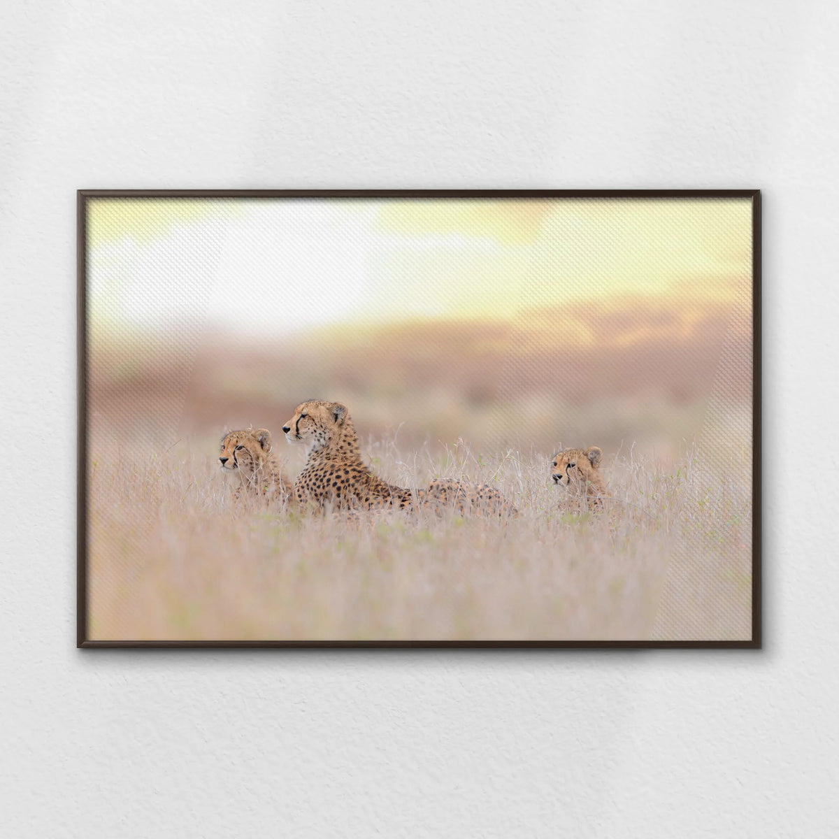 LWN120W080