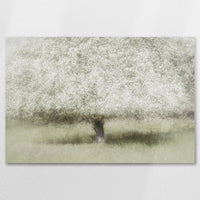 AC-075W050