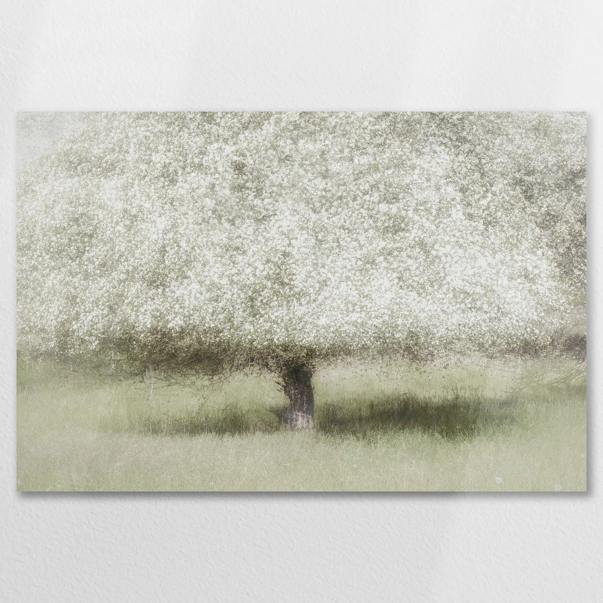 AC-075W050