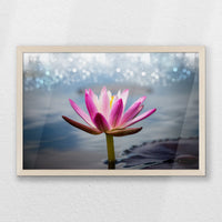 PN-060W040