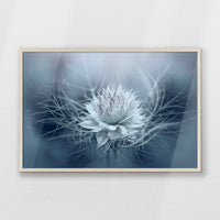 PN-093W062