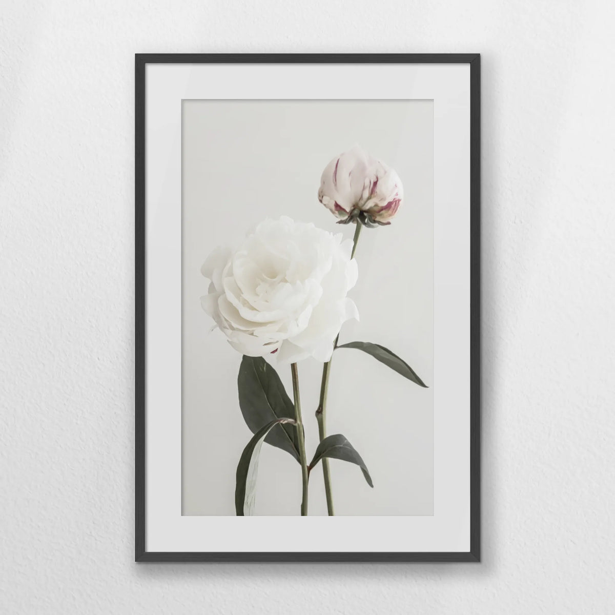 PKP062W093