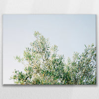 LW-080W060