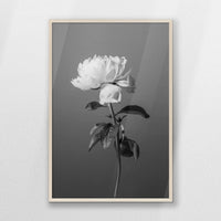 PN-062W093