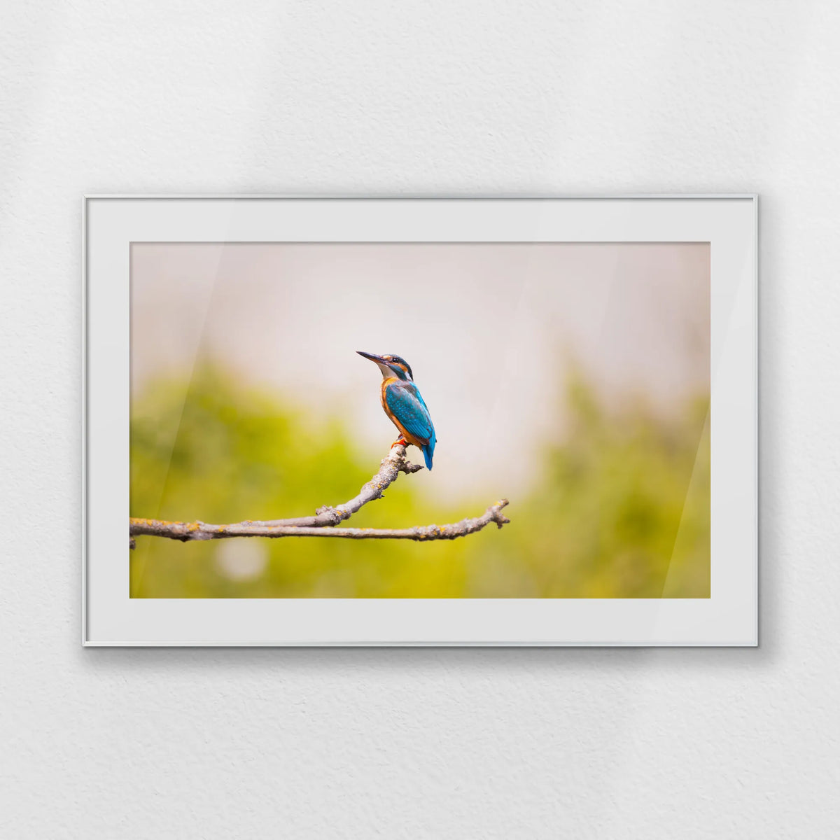 PSP120W080