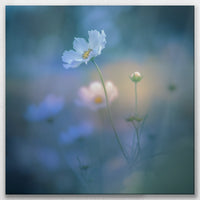 LW-090W090