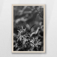 PN-040W060