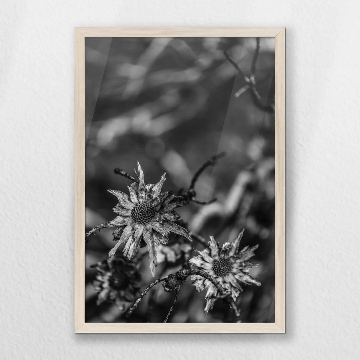PN-040W060