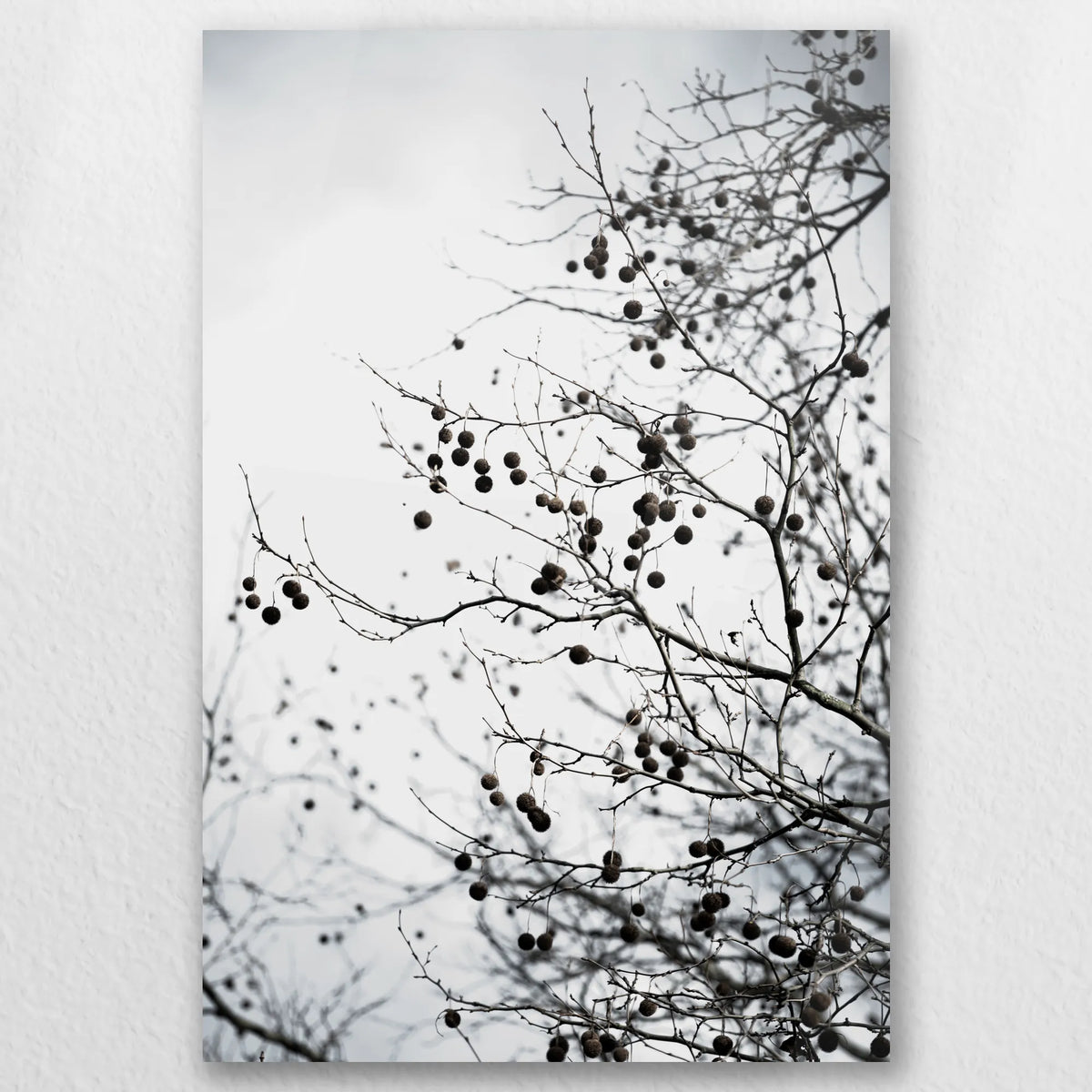 AC-040W060