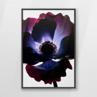 PK-070W100