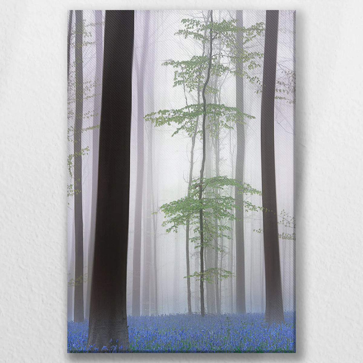 LW-050W075