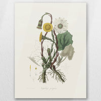AL-030W040