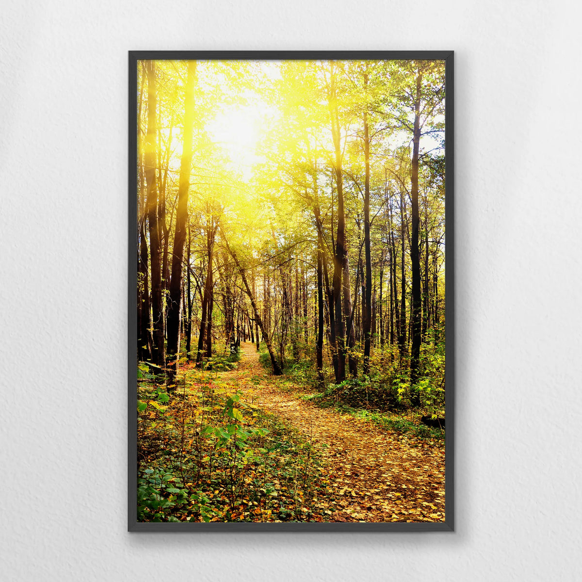 PK-062W093