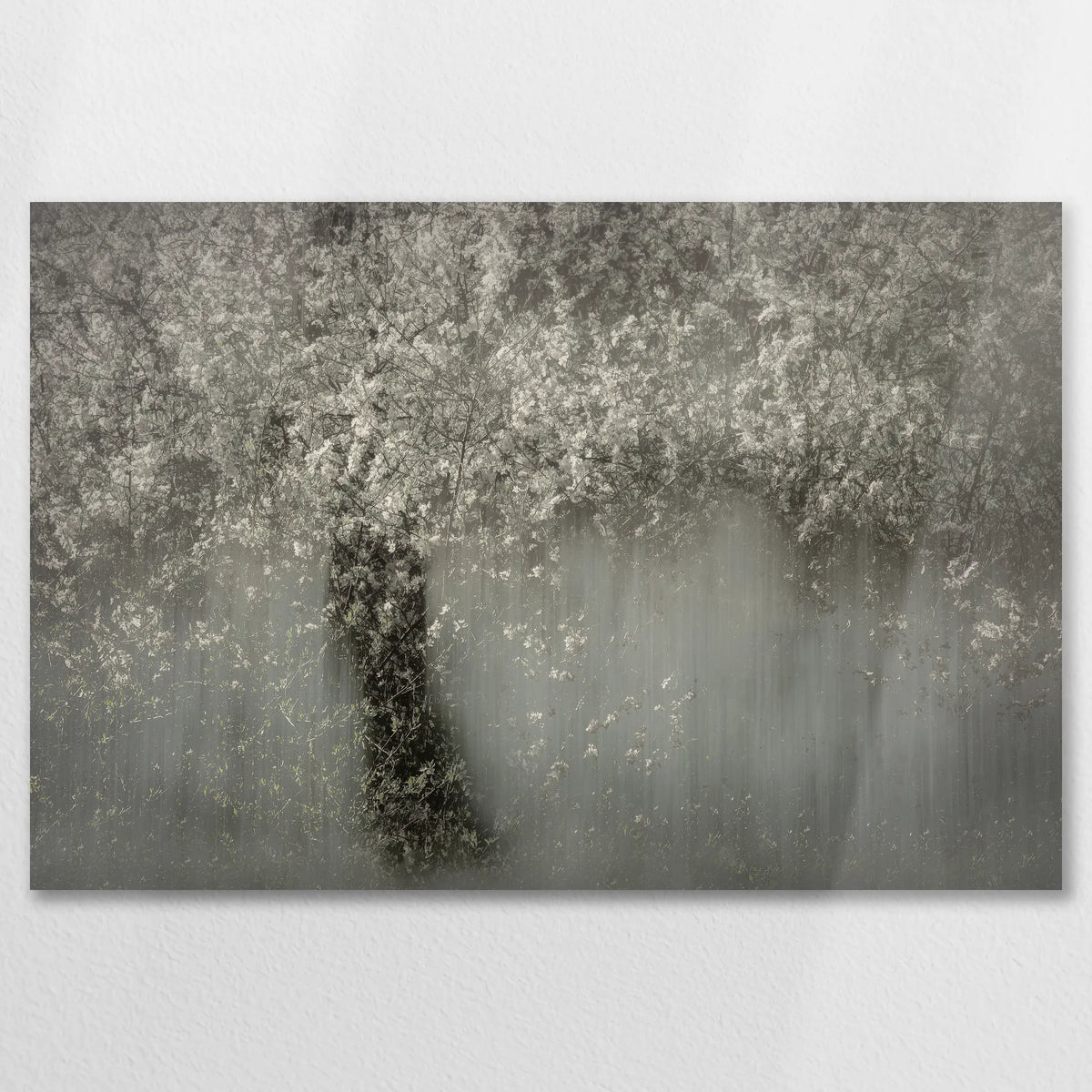 AL-075W050