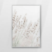 PS-062W093