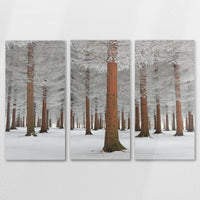 AC-150R100