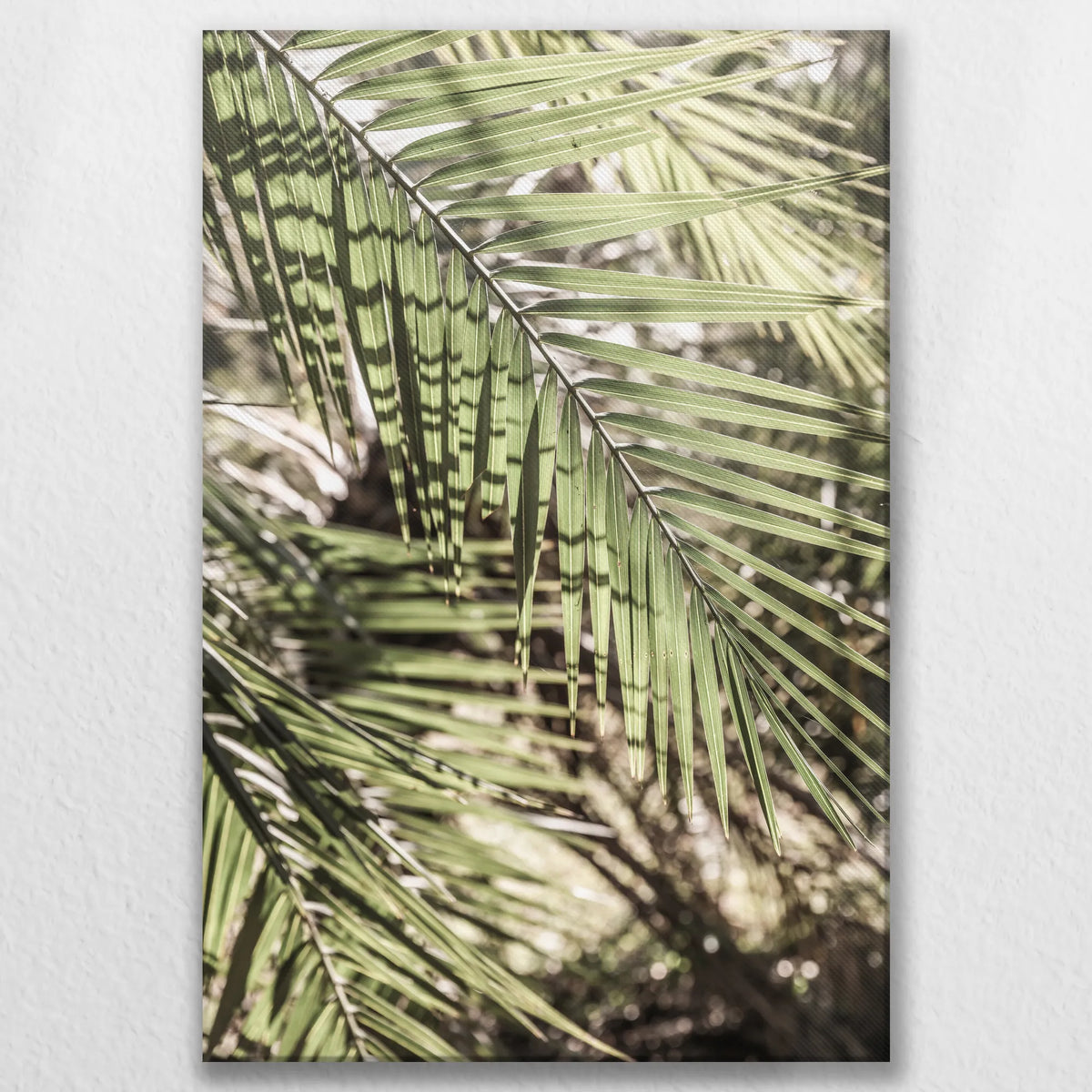 LW-080W120