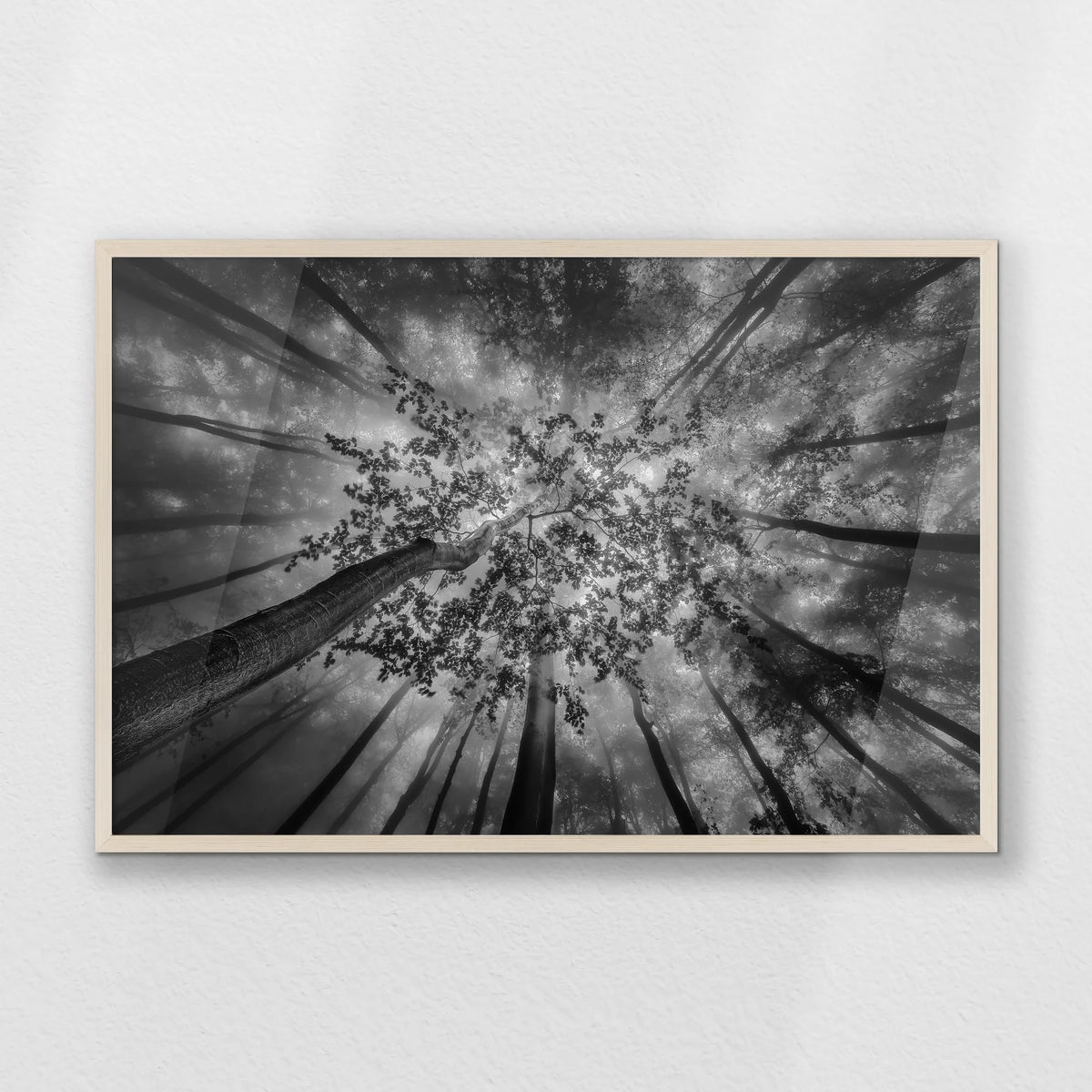 PN-093W062