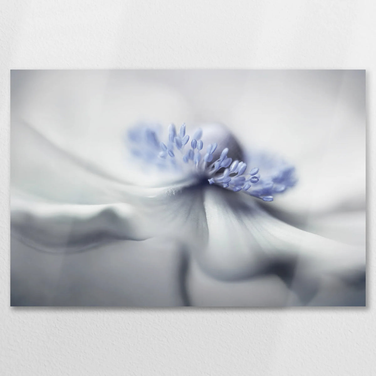 AL-075W050