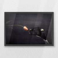 PK-060W040