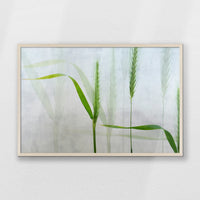 PN-093W062