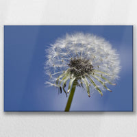 LW-030W020
