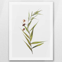 AC-030W040