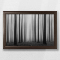 LWN030W020